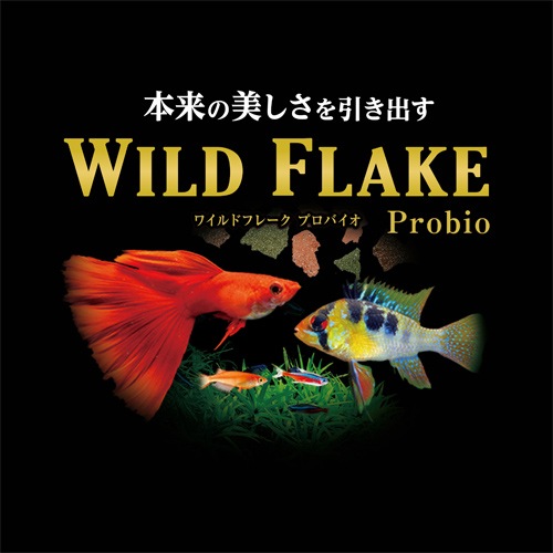 �ǣţ� �磻��ɥե졼�� �ץ��Х��� �ߥ� 52�� ����Ǯ�ӵ� ����� ��