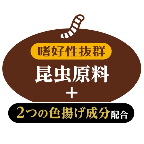 �ǣţ� �磻��ɥե졼�� �ץ��Х��� �ߥ� 52�� ����Ǯ�ӵ� ����� ��