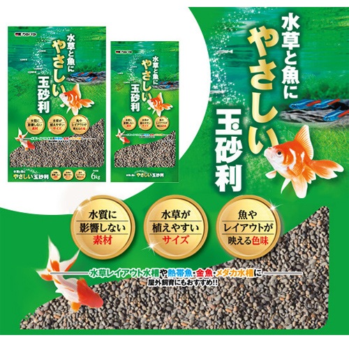 ߥϥ ȵˤ䤵̺ 6kg ø캽  ŷ ø 