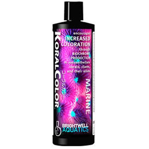 ޡե ֥饤ȥ 륫顼  ꡼ե źú