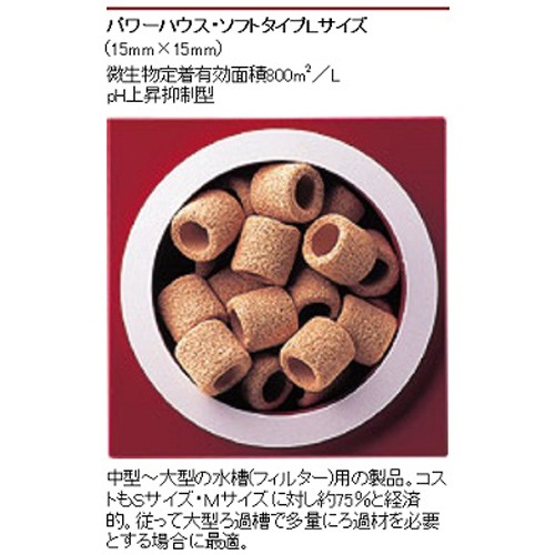 �ѥ�ϥ��� ���եȥ����� ��Ȣ �ʣ��̡� ���� ø����