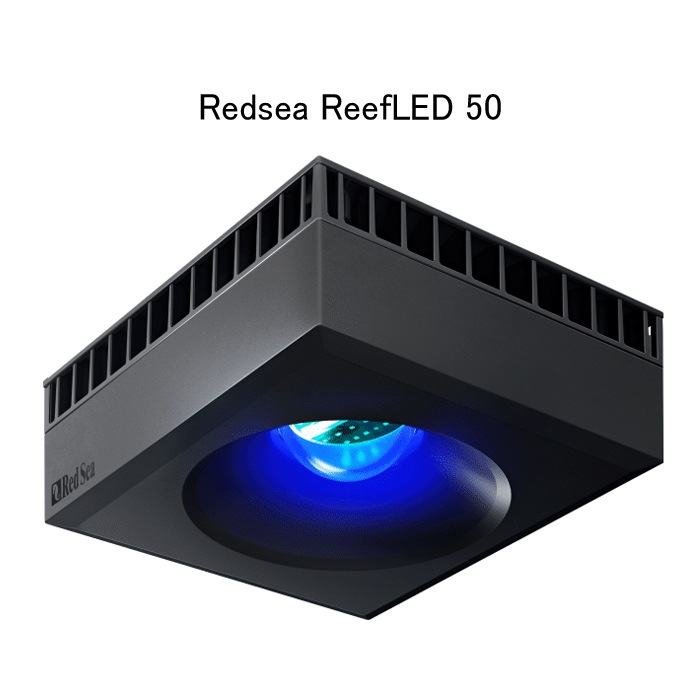 åɥ Reef LED 50  + Reef LED 50 ˥Сޥȥ å LED饤ȤȥΥå Ȥ LED饤  RedSea