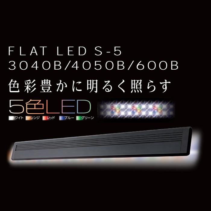 ڿʡۥȥ֥ եåLED S-5 600B Ŭ60cm 5LED ߷ FLAT LED  LED 厥øξ