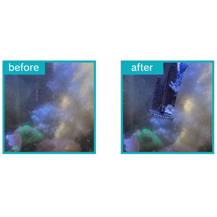 �ڿ����ʡ� �����ϥ��� ��ԥåɥ��꡼�ʡ� 48cm (3591000)