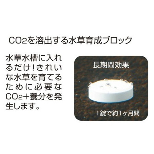 �� �ǣţ� ����CO2�֥��å� 10���� ����������� ���줤�ʿ�����Ƥ�