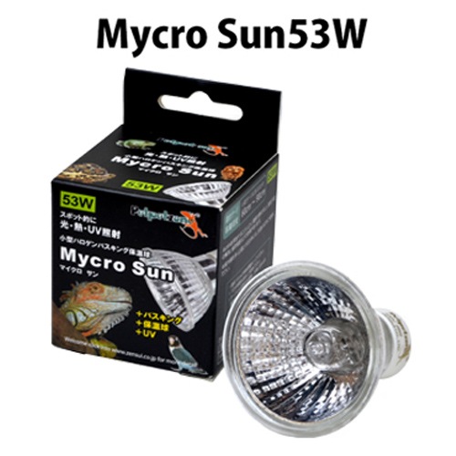 ���󥹥� ����åץ������ �ޥ�������53W���å� �糰�� �գ֣� �ݲ��� �Х����� �������