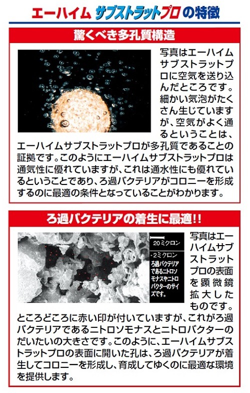 6åȡ ϥ ֥ȥåȥץ 쥮顼  Х  2510761 ø塦ξ ξʤϣޤǤΤʸ¨ȯȤʤޤ