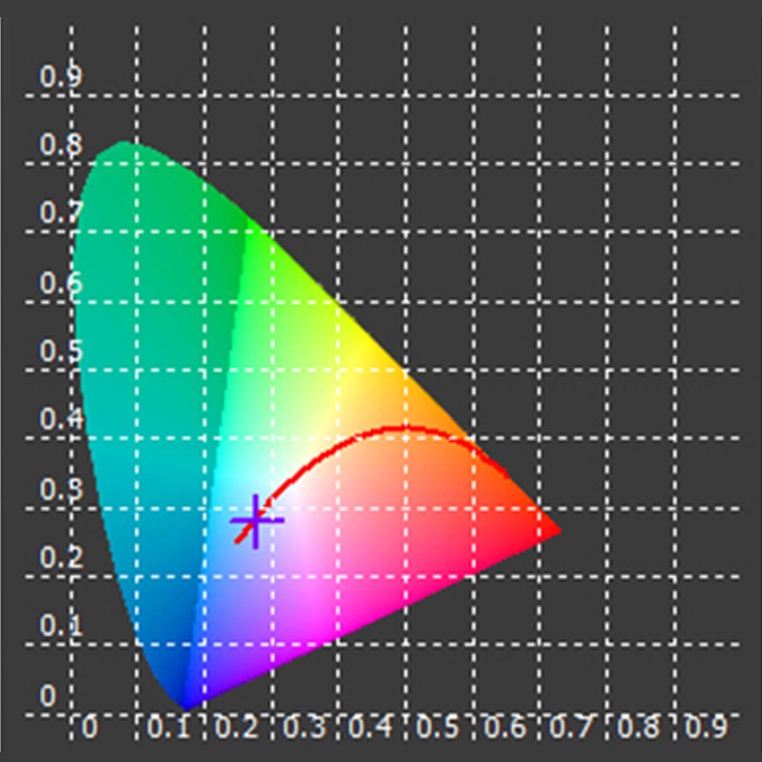 �ڿ����ʡۣڣϣϣ� �饰���� �쥤�� ������ ø�塦����ξ�� ���� ���� Lagoon RAYS ������� ����26/27 ������ �������ꥦ�� ZX6YL