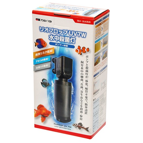 ڿʡۥߥϥ ꥪץå գ  60Hz 滦    ø 592251