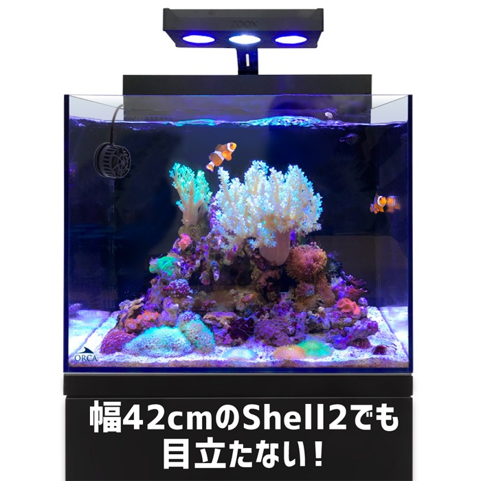 ORCA ߥ˥åȥȥ꡼ 2000 ήݥ  DCݥ 60cmʲ Ķ  ø  Minute Stream ZM4MS2