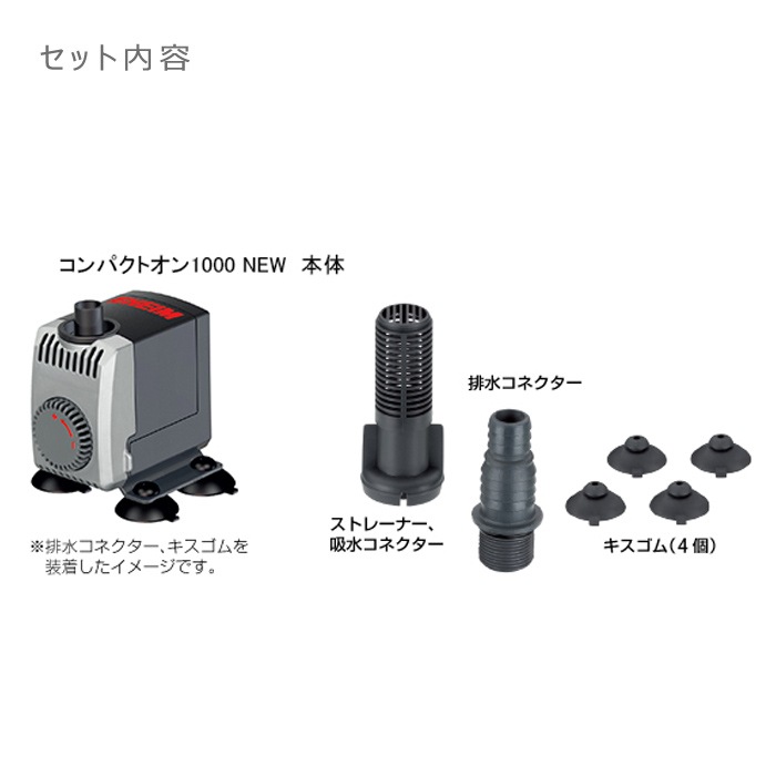 ϥ ѥȥ 1000 NEW :60Hz ݥ ø厥ξ 1022320