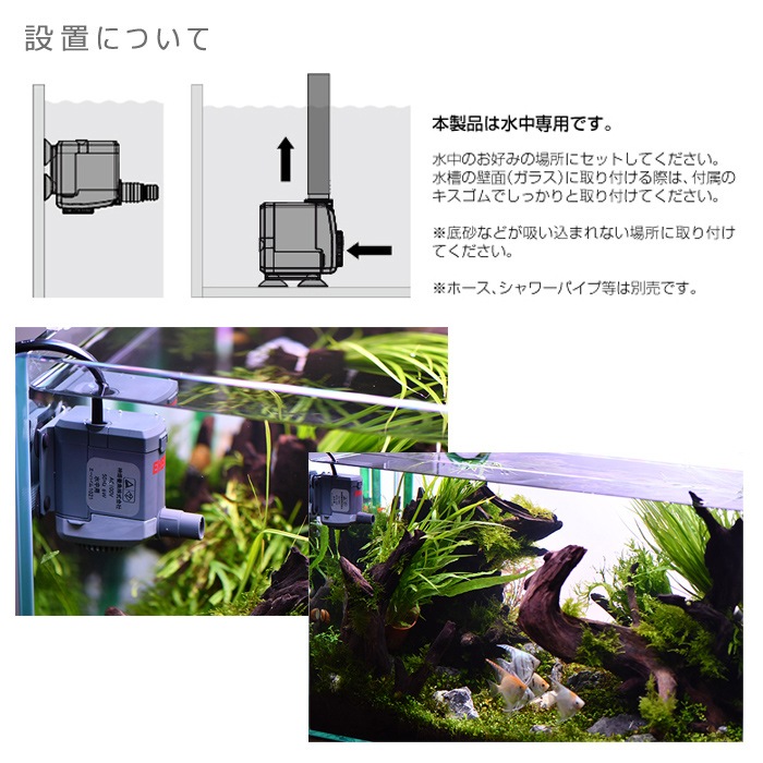 ϥ ѥȥ 1000 NEW :60Hz ݥ ø厥ξ 1022320