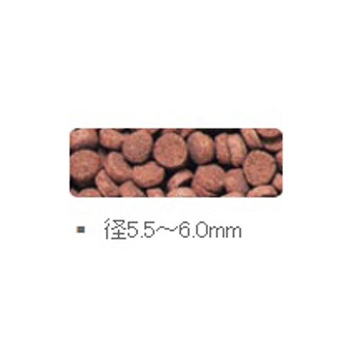 ��3�����åȡۥ��硼��� �Ҥ��� ���쥹�� ����å� 295g ���� �������������ѻ��� ������