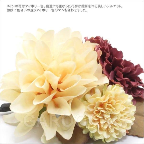スプレーカーネーション○生花○切花◯農家直送 にげる