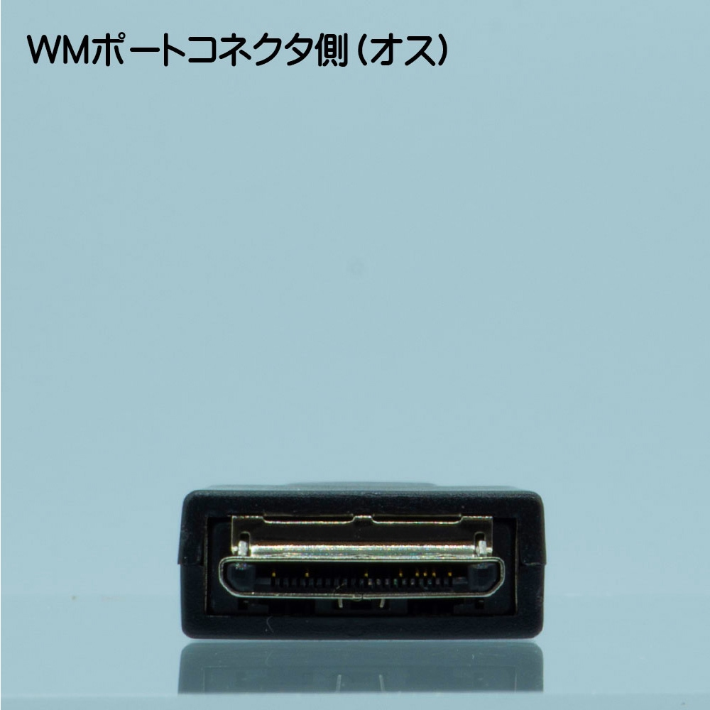 WALKMAN ウォークマン 充電 転送対応 Type-C変換アダプタ SSA エスエス