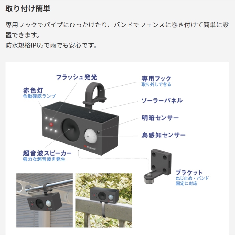 追加商品画像
