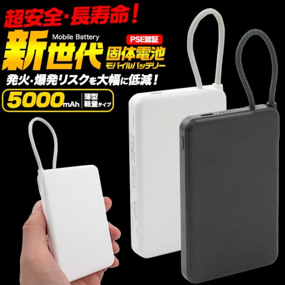 個体電池モバイルバッテリー 5000mAh mp045 PLATA プラタ 安全 長寿命