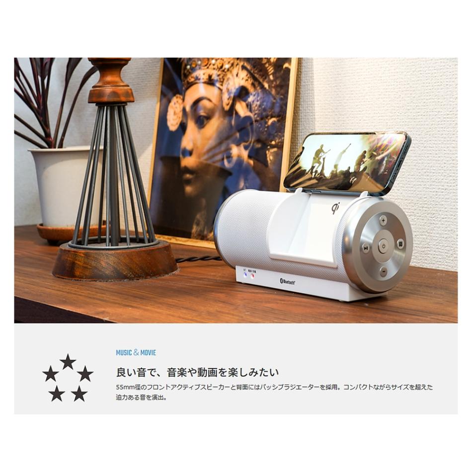 アンプ ANABAS ABS-215(FB) BLUE 防水×スマホワイヤレス充電