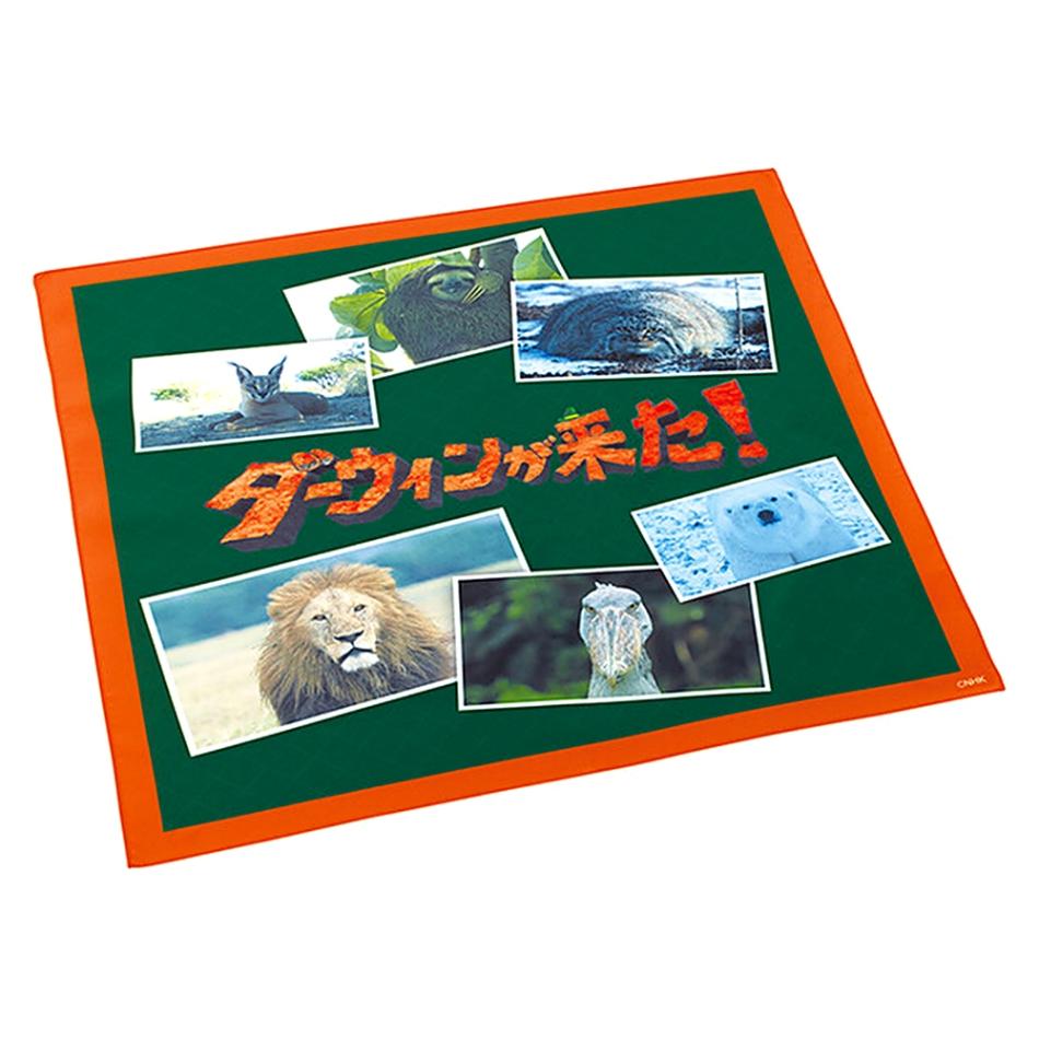 ランチクロス ダーウィンが来た NHK スケーター 子供 レディース お弁当 通学 通園 かわいい ポリエステル サイズ430×430mm 756191-KB4SN ◆メ