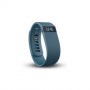 Fitbit�ڥե��åȥӥåȡ�Fitbit charge S��������FB404SLS-JPN��FB404SLSJPN��