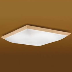 ��ǡ�E-CORE��LED������󥰥饤�� LEDH94092-LC��LEDH94092LC��