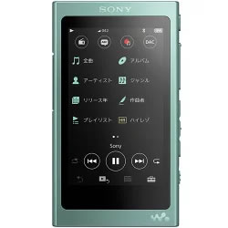 ソニー【SONY】16GB ウォークマン ホライズングリーン NW-A45-G【NWA45】