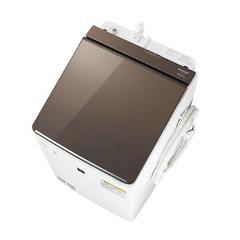 㡼סԲġ10kg 5 Ʒ絡 ֥饦 ES-PT10D-TESPT10DT