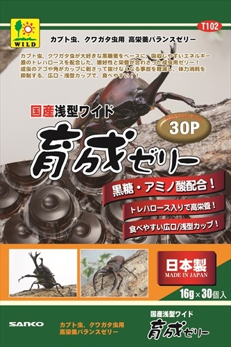 カエルのｔ係さま専用ページ　2つ目 色彩変異個体のペアからのオタマジャクシの販売ページ Horned