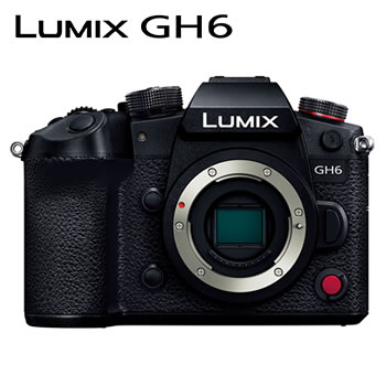 パナソニック ミラーレス一眼カメラ LUMIX GF3 ボディ エスプリ