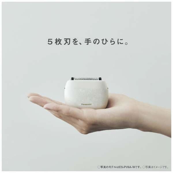 パナソニック【Panasonic】5枚刃 メンズシェーバー LAMDASH PALM IN