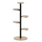 �����ǰסڹ⤵��100cm�ۥǥ����ץ쥤������� ���� �֥�å� ���Ȥ�Ω�Ƥ�ɬ�פǤ��� FUJI-63767�ڥǥ����ץ쥤��å��ۥե��������