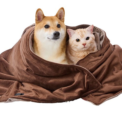 ベッドお茶さん専用 ペティオ【ペット用品】犬猫用 洗えて清潔 USBでどこでもあったか