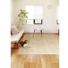 ���¥���ӥ��ڥڥå����ʡۥڥåȥ饰 PRUG-01 WH �ɻߥ������դ� �����ɻ� ����Ĵ 180��180cm �ۥ磻�� Li4977932279766�ڳ��ʤ� �ý� ������ �饰�ޥå� ��ӥ󥰡�