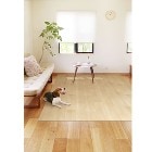 ���¥���ӥ��ڥڥå����ʡۥڥåȥ饰 PRUG-02 BE �ɻߥ������դ� �����ɻ� ����Ĵ 180��270cm �١����� Li4977932279797�ڳ��ʤ� �ý� ������ �饰�ޥå� ��ӥ󥰡�