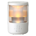 �ꥺ���Ķ���ȿ�ư�ü������ۥס���쥹�ü��� MIST250 �饤�ȥ��졼 ��������2.0L 9YYA64RH08����¤�¼�4���ץ�ϥ��μ�7���۲ü���250ml��h