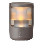 �ꥺ���Ķ���ȿ�ư�ü������ۥס���쥹�ü��� MIST250 �������॰�졼 ��������2.0L 9YYA64RH84����¤�¼�4���ץ�ϥ��μ�7���۲ü���250ml��h