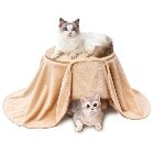 ڥƥڥڥåʡǭ ǭΤΤĤܤ ҡ쥹 ڥåѥҡ쥹 P-4903588277566ǭ ͥ