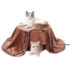 ڥƥڥڥåʡǭ Τ򤢤ǭΤδݷŵ ڥå˼ P-4903588277573ǭ ͥ