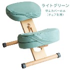 ���������ڥ���ƥꥢ���ߡ��ȶ�ۥץ��ݡ��������������ؤ����С� 3���� �饤�ȥ��꡼�� (���̤�ɨ���硦����3�祻�åȡ� CV-9K-LGR�ڥ��������������