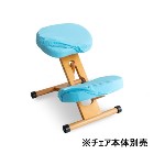 ���������ڥ���ƥꥢ�ȶ�ۥץ��ݡ��������������ؤ����С� ���̡�ɨ2�祻�å� ������ CV-8K-SO�ڥ���������������CH-88W��