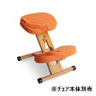 ���������ڥ���ƥꥢ�ȶ�ۥץ��ݡ��������������ؤ����С� ���̡�ɨ2�祻�å� ����� CV-8K-OR�ڥ���������������CH-88W��