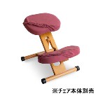 ���������ڥ���ƥꥢ�ȶ�ۥץ��ݡ��������������ؤ����С� ���̡�ɨ2�祻�å� ������ CV-8W-RO�ڥ���������������CH-88W��