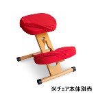 ���������ڥ���ƥꥢ�ȶ�ۥץ��ݡ��������������ؤ����С� ���̡�ɨ2�祻�å� ��å� CV-8W-RD�ڥ���������������CH-88W��