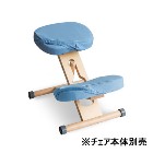 ���������ڥ���ƥꥢ�ȶ�ۥץ��ݡ��������������ؤ����С� ���̡�ɨ2�祻�å� �饤�ȥ֥롼 CV-N8W-LBL�ڥ���������������CH-N88W�б�