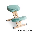 ���������ڥ���ƥꥢ�ȶ�ۥץ��ݡ��������������ؤ����С� ���̡�ɨ2�祻�å� �饤�ȥ��꡼�� CV-N8W-LGR�ڥ���������������CH-N88W�б�