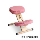 ���������ڥ���ƥꥢ�ȶ�ۥץ��ݡ��������������ؤ����С� ���̡�ɨ2�祻�å� �ԥ� CV-N8W-PK�ڥ���������������CH-N88W�б�