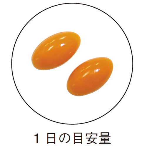 󥶥Q10 305mg60γ <>