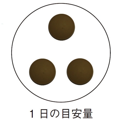 ץݥꥹγ 250mg90γ <ŷɱʪ>