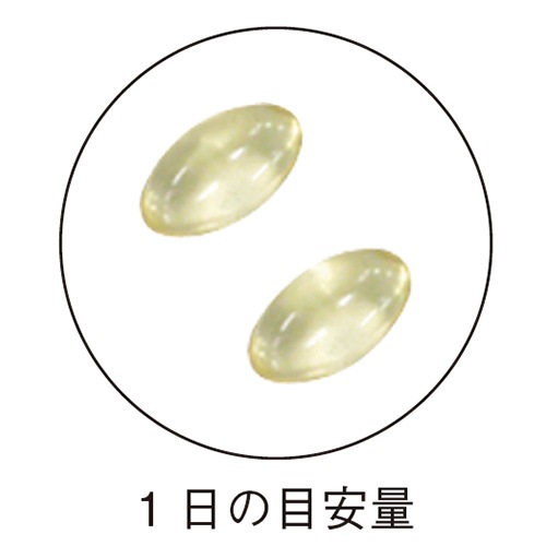 ޥΥ 540mg60γ <˳ȯǤ>