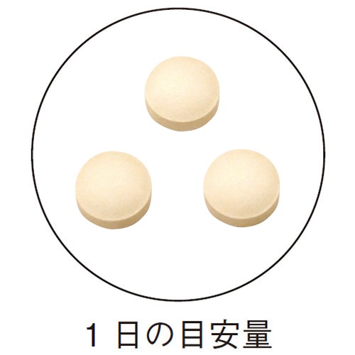 ���ȥ��� 300mg��90γ <��ʪ���ݤ�­��Ƥ��ʤ�����>